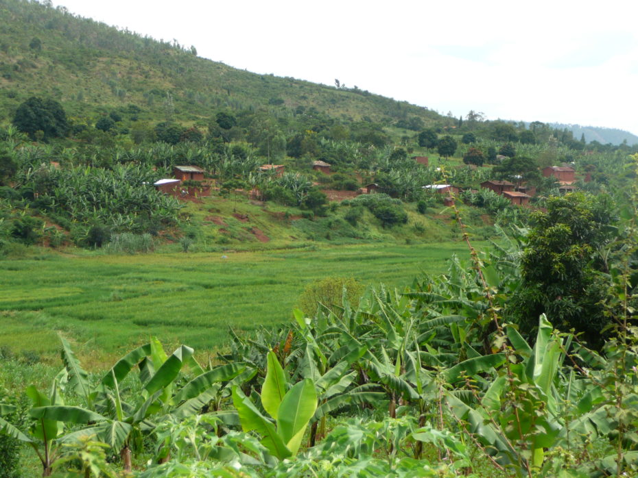 Lush farmland typical of Burundi
