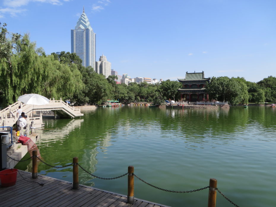 People's park Urumqi, home to top carp fishing action