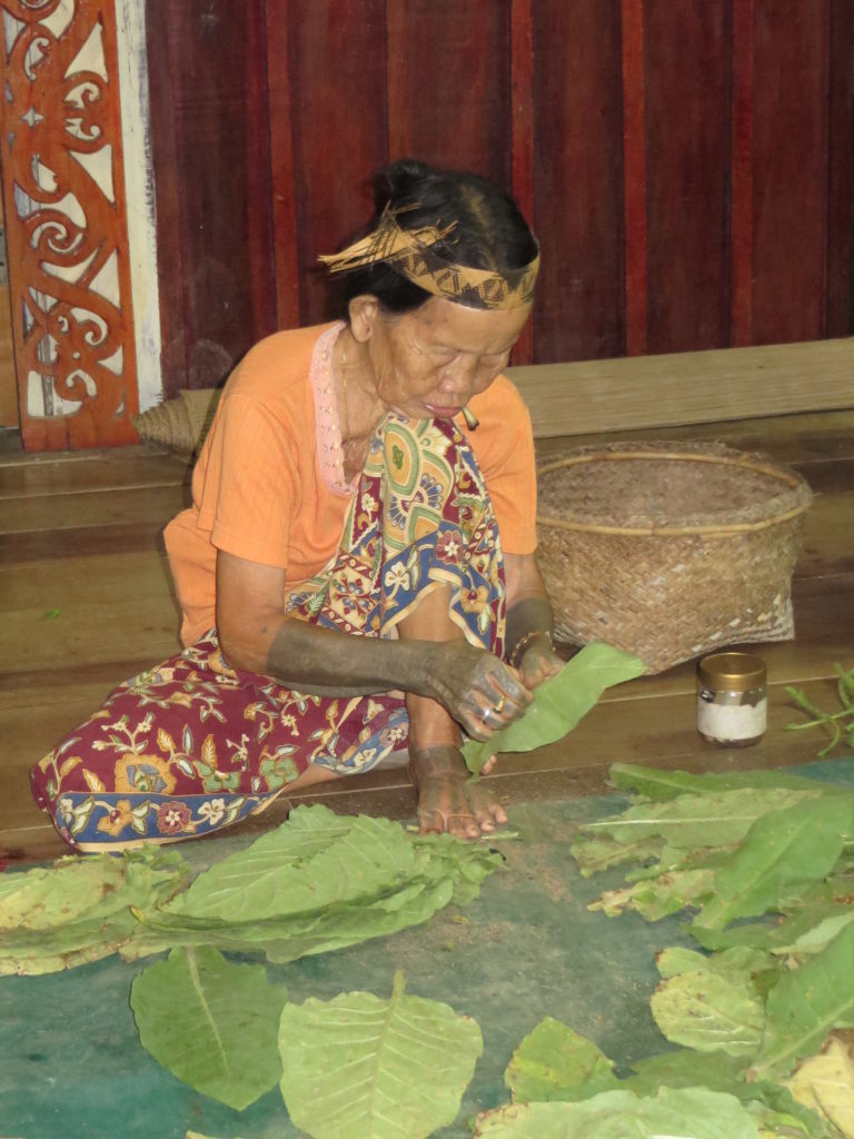 You will regularly see women puffing away on hand rolled cigarettes. Here a lady prepares tobacco leaves for drying