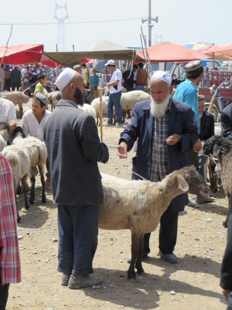 Why not discuss the price of sheep with these nice men at the Kashgar livestock market in China?